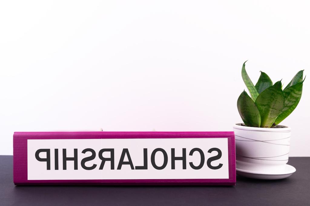 A red notebook labeled on the spine with the word Scholarship in black font on a white sticker sits on a grey table with a fern succulent in a white pot and saucer to the left against a white background. A light green frame surrounds the image.